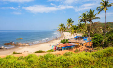 Goa tour package Palolem Beach with serene shoreline and palm trees