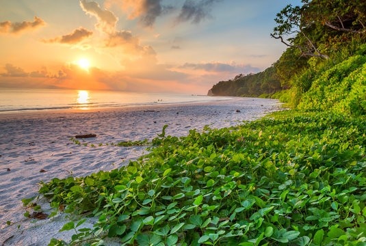 Things to do in Andaman – Explore scenic beaches and coral reefs