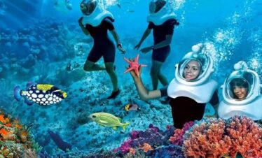 Trip to Havelock Island snorkeling adventure in clear blue waters