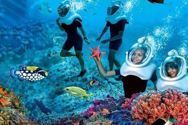 Trip to Havelock Island snorkeling adventure in clear blue waters