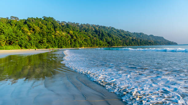 Trip to Havelock Island serene beach with turquoise waves
